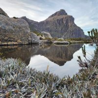 Queen of the Southwest Reflected - Adrian Hills